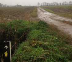 In cammino verso Gropello Cairoli (29281 bytes)